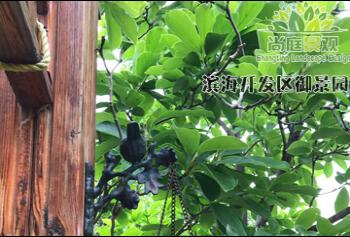天津景觀設計