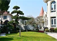 打造別墅花園設計園林景觀的訣竅